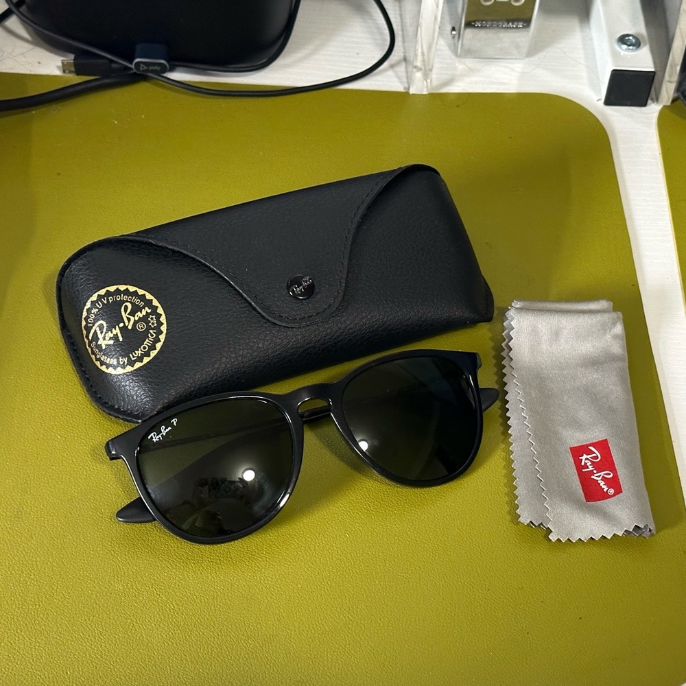 Ray-ban Erika Sunglasses